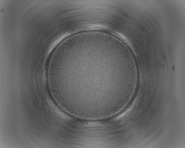 X0000063450835200601201218