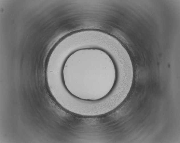 X0000063450836200601201218