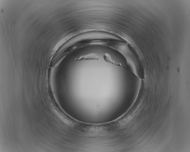 X0000063450842200601201218