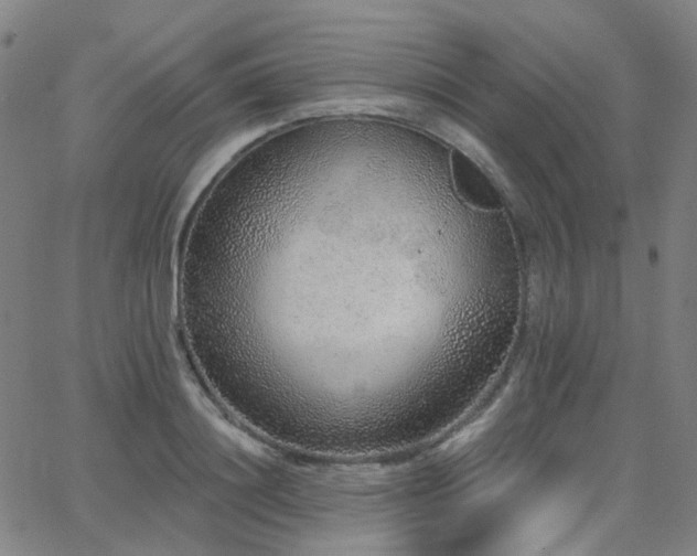 X0000063450844200601201218