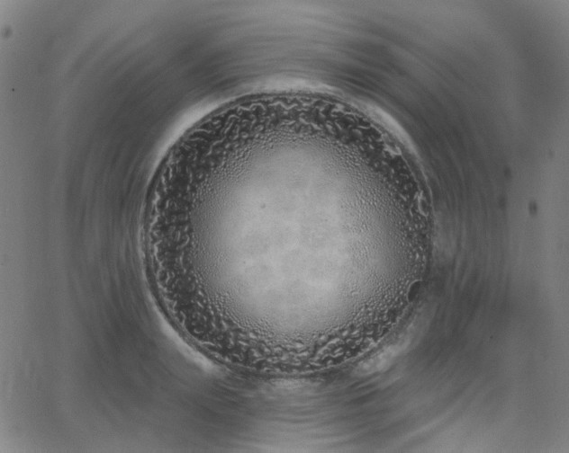 X0000063450847200601201218
