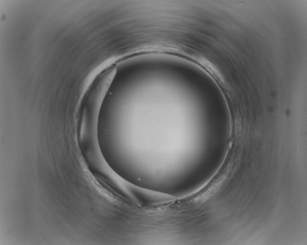 X0000063450854200601201218