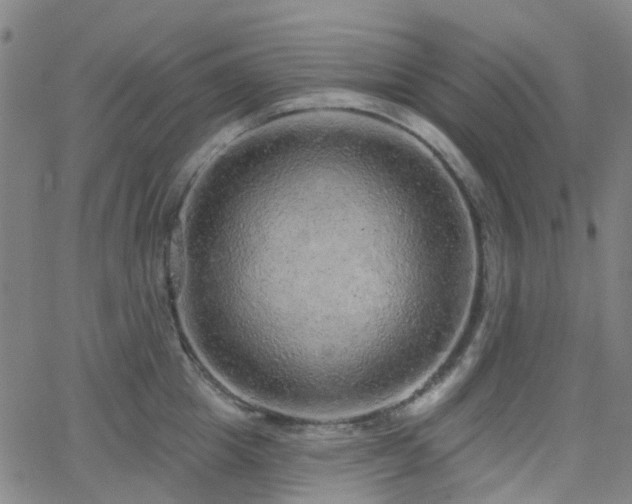 X0000063450857200601201218