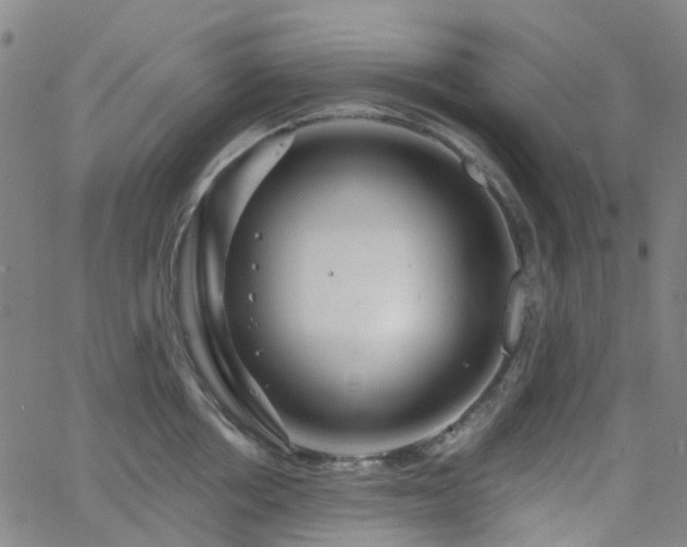 X0000063450858200601201218