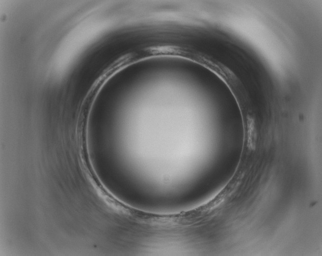 X0000063450861200601201218