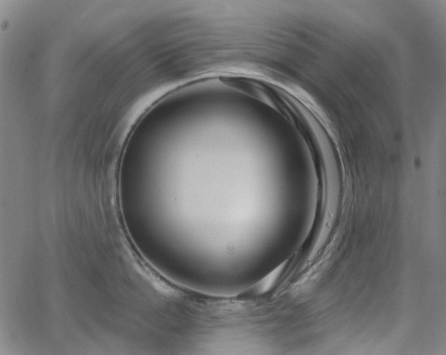 X0000063450862200601201218