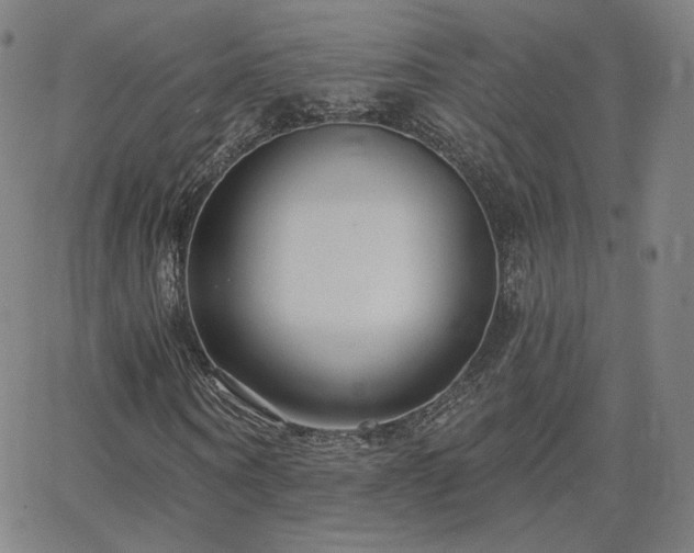 X0000063450866200601201218