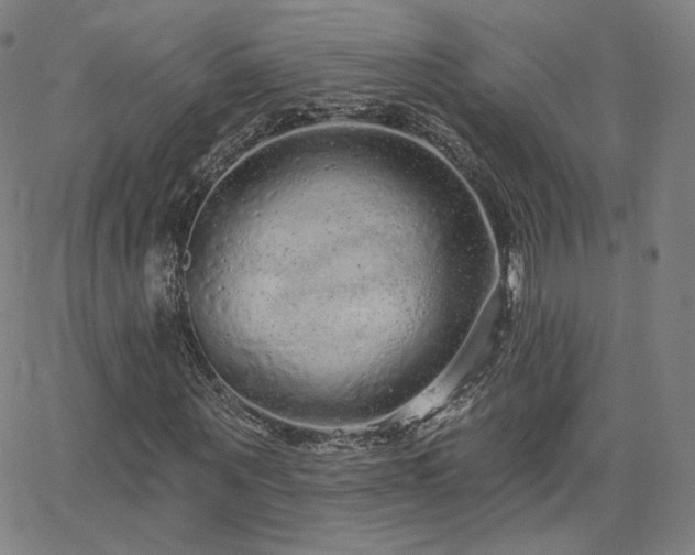 X0000063450867200601201218