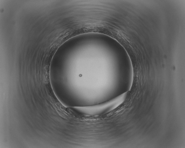 X0000063450868200601201217