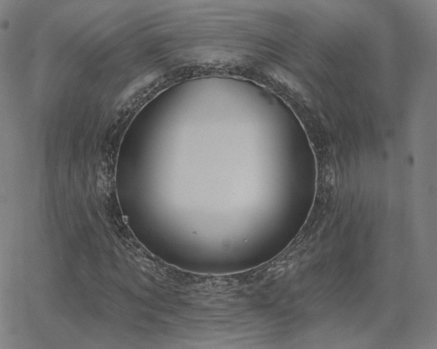 X0000063450869200601201217