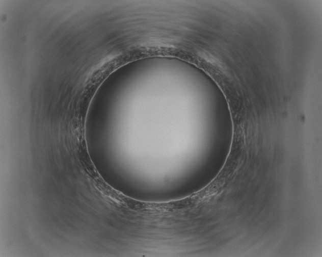 X0000063450870200601201217