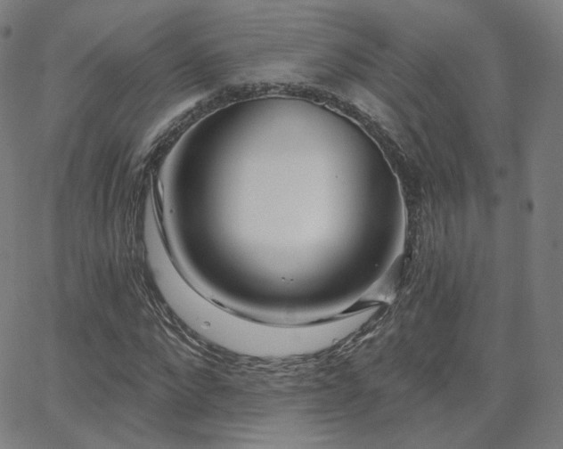 X0000063450872200601201217