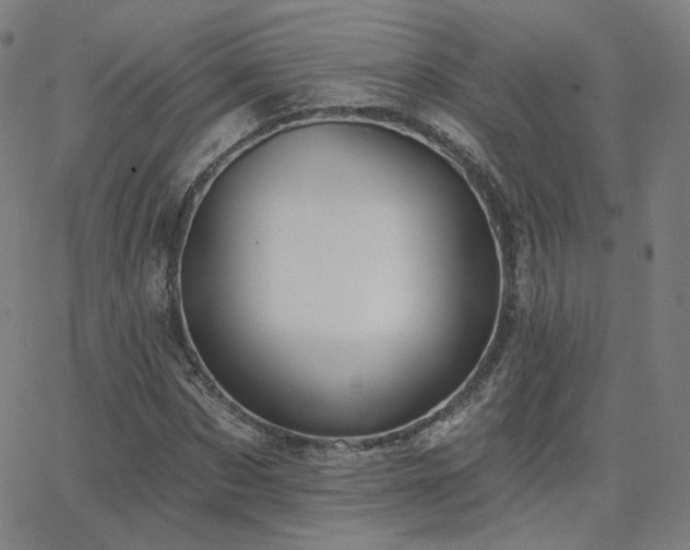 X0000063450873200601201217