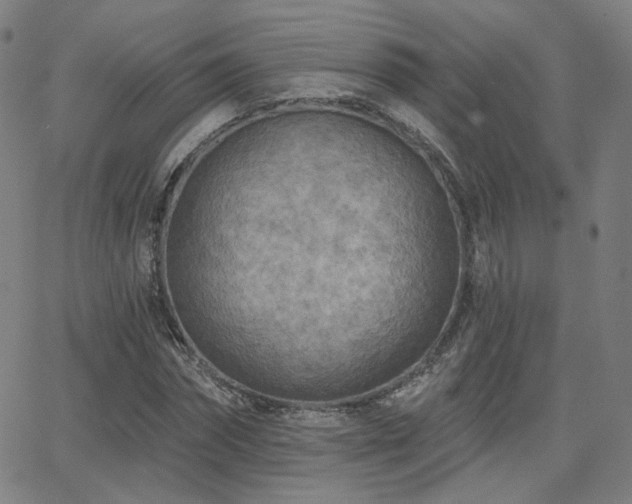 X0000063450874200601201217