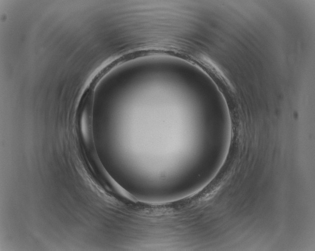 X0000063450884200601201217