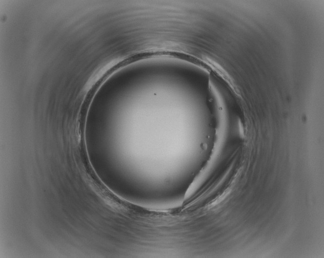 X0000063450885200601201217