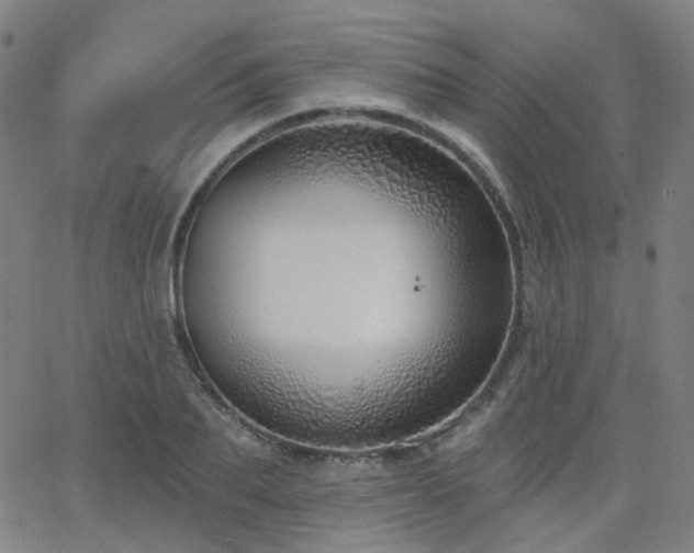X0000063450887200601201217