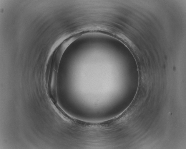 X0000063450894200601201217
