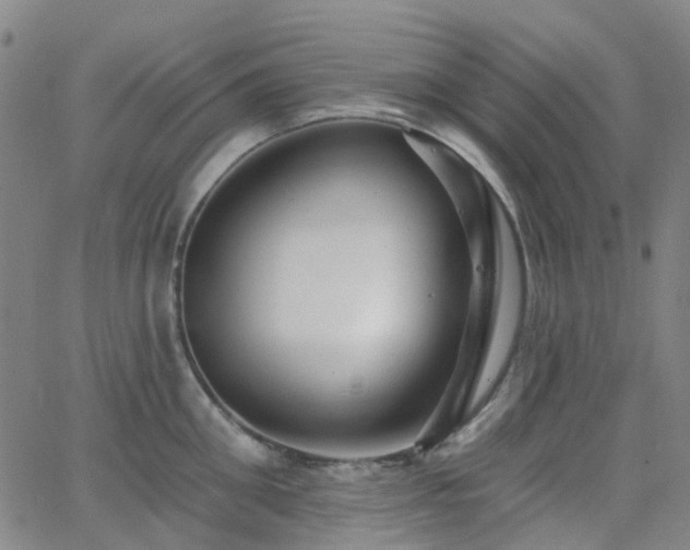 X0000063450906200601201217