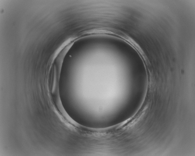 X0000063450909200601201217