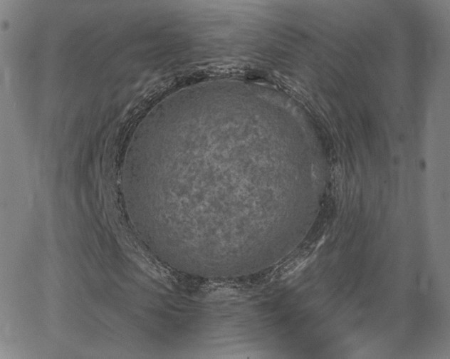 X0000063450913200601201216