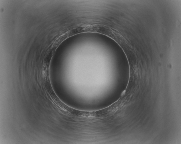 X0000063450914200601201216