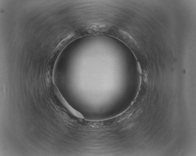 X0000063450915200601201216