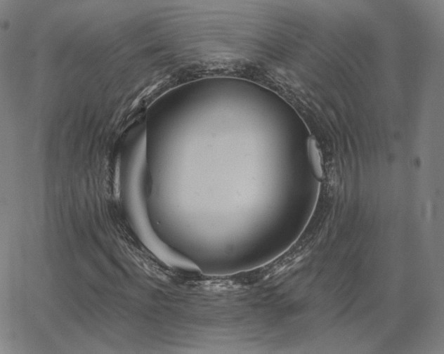 X0000063450916200601201216