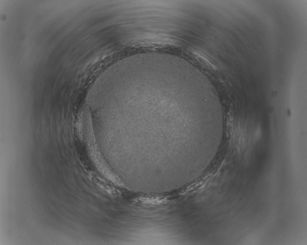 X0000063450917200601201216