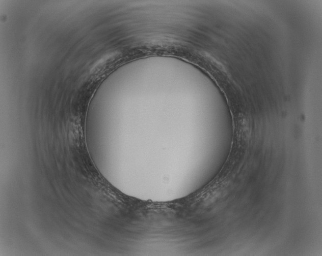 X0000063450918200601201216