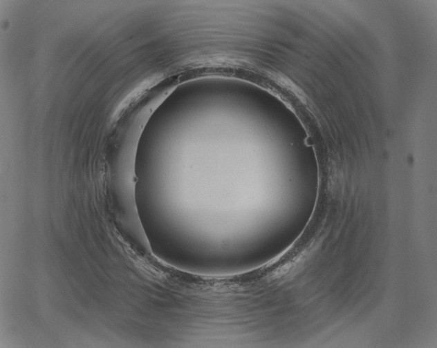 X0000063450922200601201216