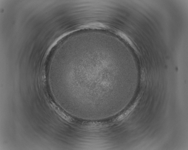 X0000063450923200601201216