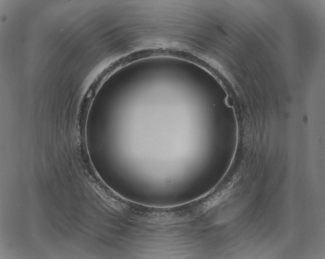X0000063450927200601201216