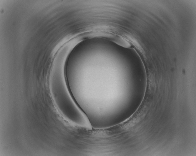 X0000063450944200601201216