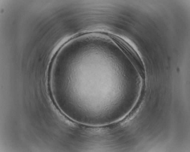 X0000063450949200601201217