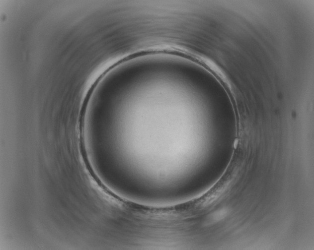 X0000063450951200601201217