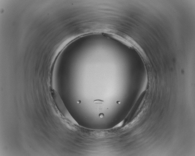 X0000063450956200601201217