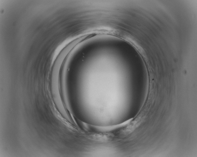 X0000063450960200601201217