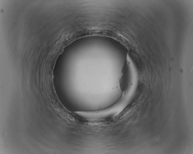 X0000063450961200601201216