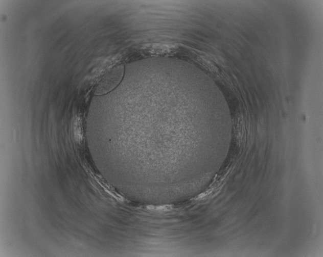 X0000063450962200601201216