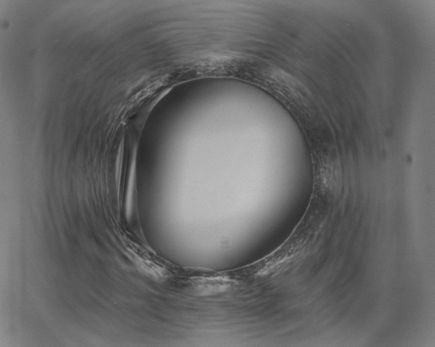 X0000063450964200601201216