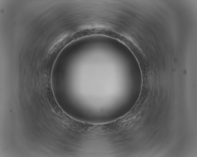 X0000063450967200601201216
