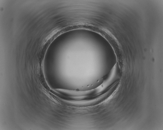 X0000063450969200601201216