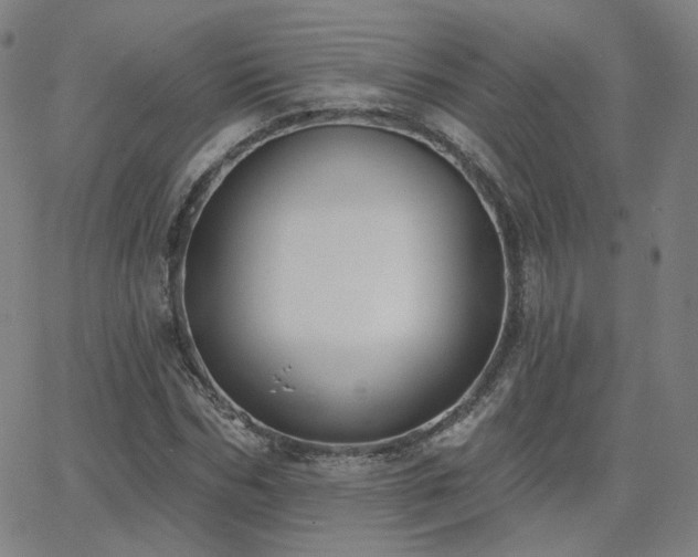 X0000063450970200601201216