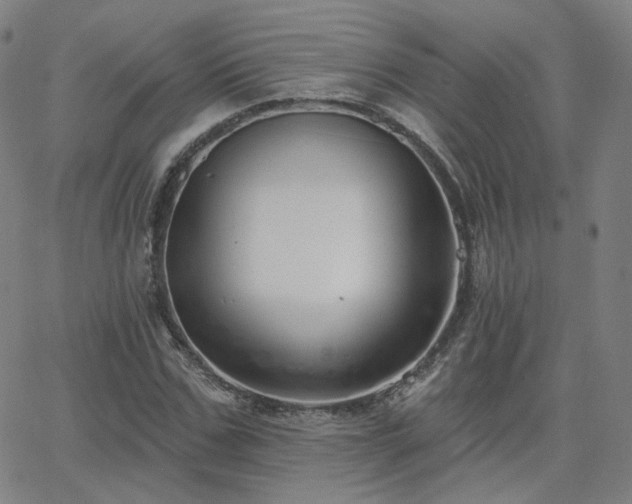 X0000063450971200601201216