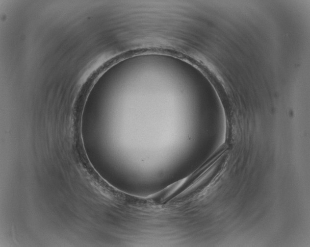 X0000063450975200601201216