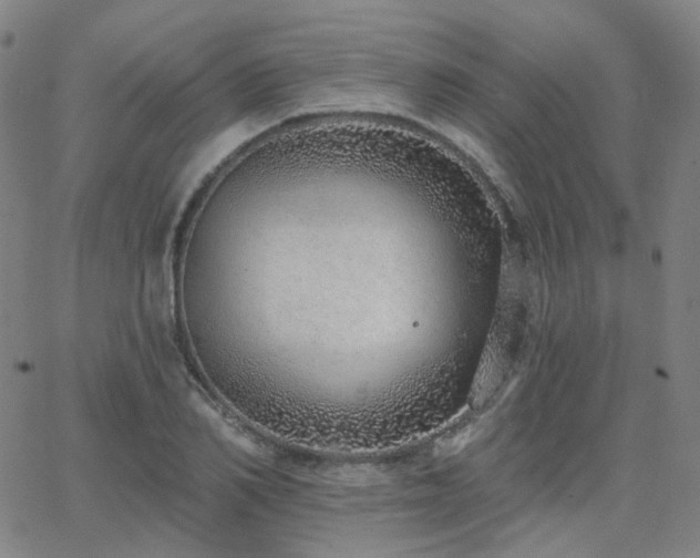 X0000063450982200601201216