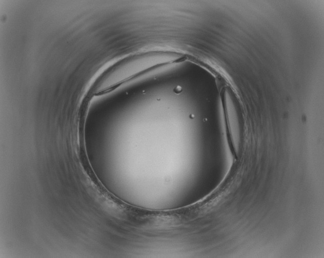 X0000063450984200601201216