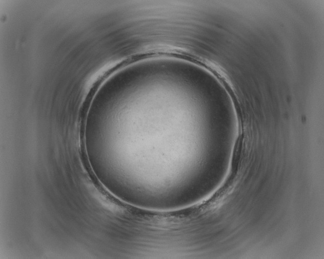 X0000063450987200601201216