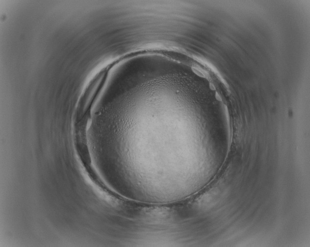 X0000063450991200601201215